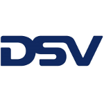 DSV2